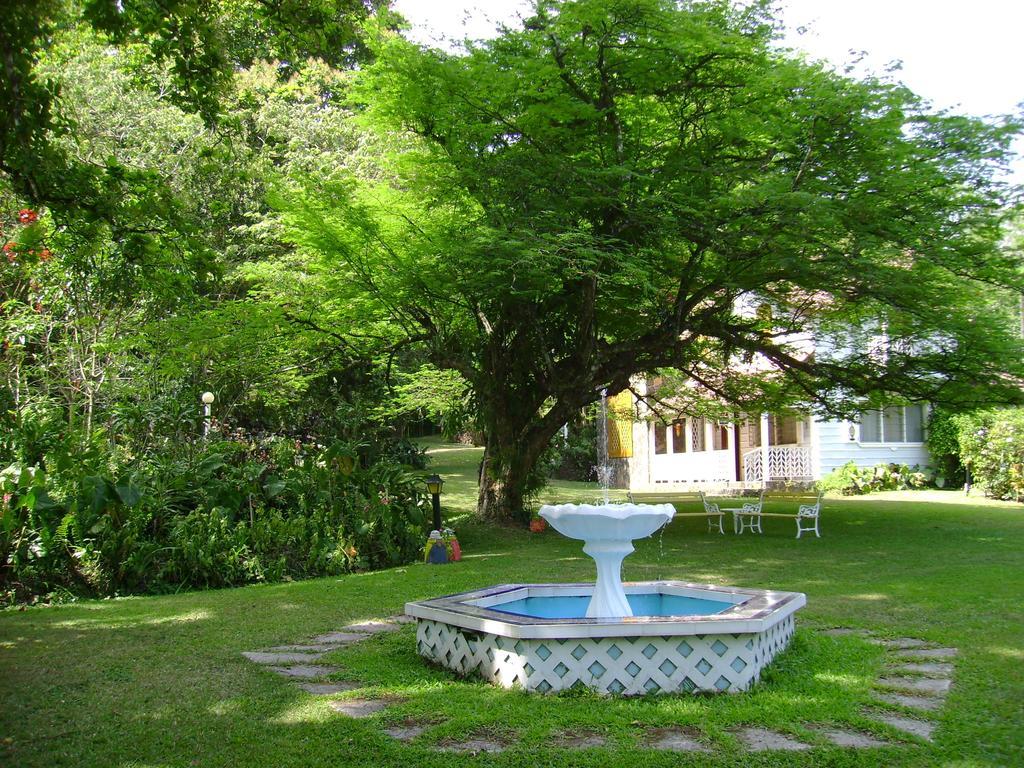 Park Eden Bed & Breakfast Los Llanitos Exterior foto